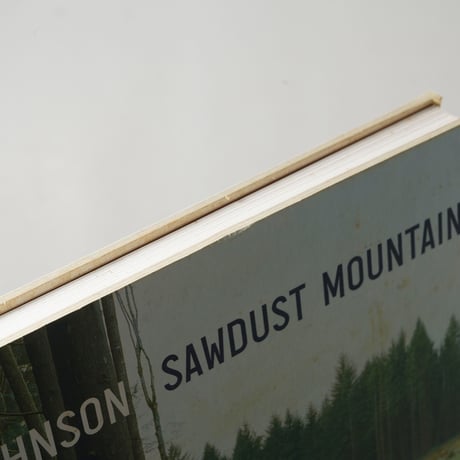 Sawdust Mountain / Eirik Johnson(エリック・ジョンソン)