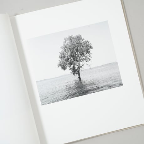 [新刊/New] THE RESERVOIR / Mimi Plumb(ミミ・プラム)