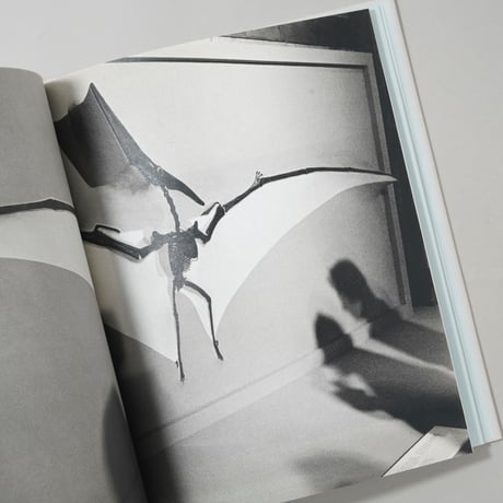 Contravisiones / Joan Fontcuberta(ジョアン・フォンクベルタ)