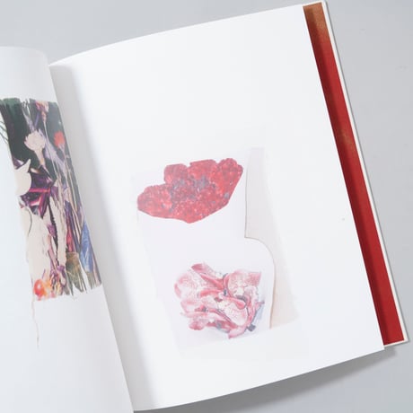 [新刊/New] Swaying Flowers / Ayaka Endo(遠藤文香)