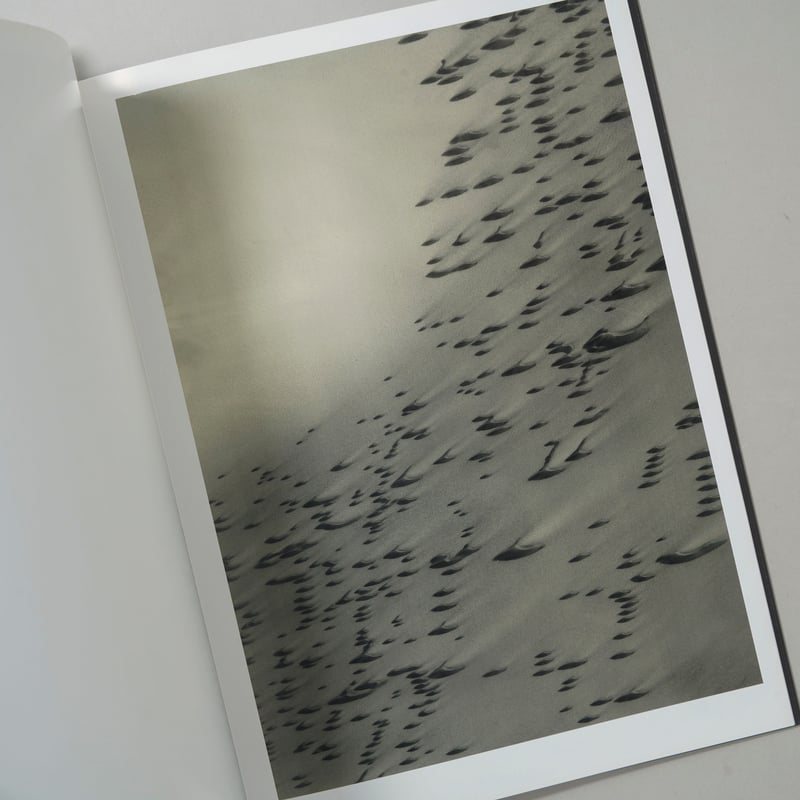 SERIES / Thomas Ruff (トーマス・ルフ) | bookobscura｜写真
