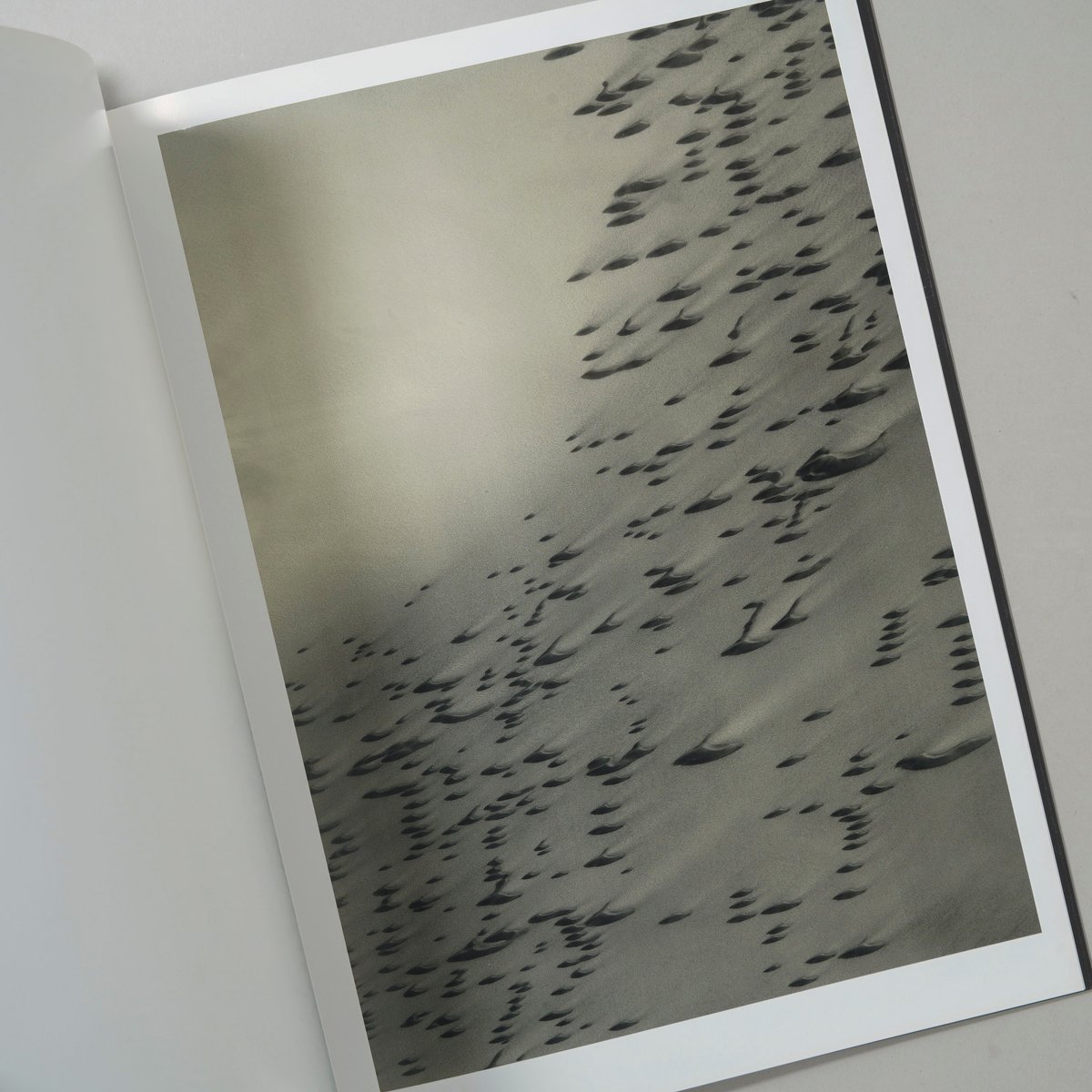 SERIES / Thomas Ruff (トーマス・ルフ) | bookobscura｜写真