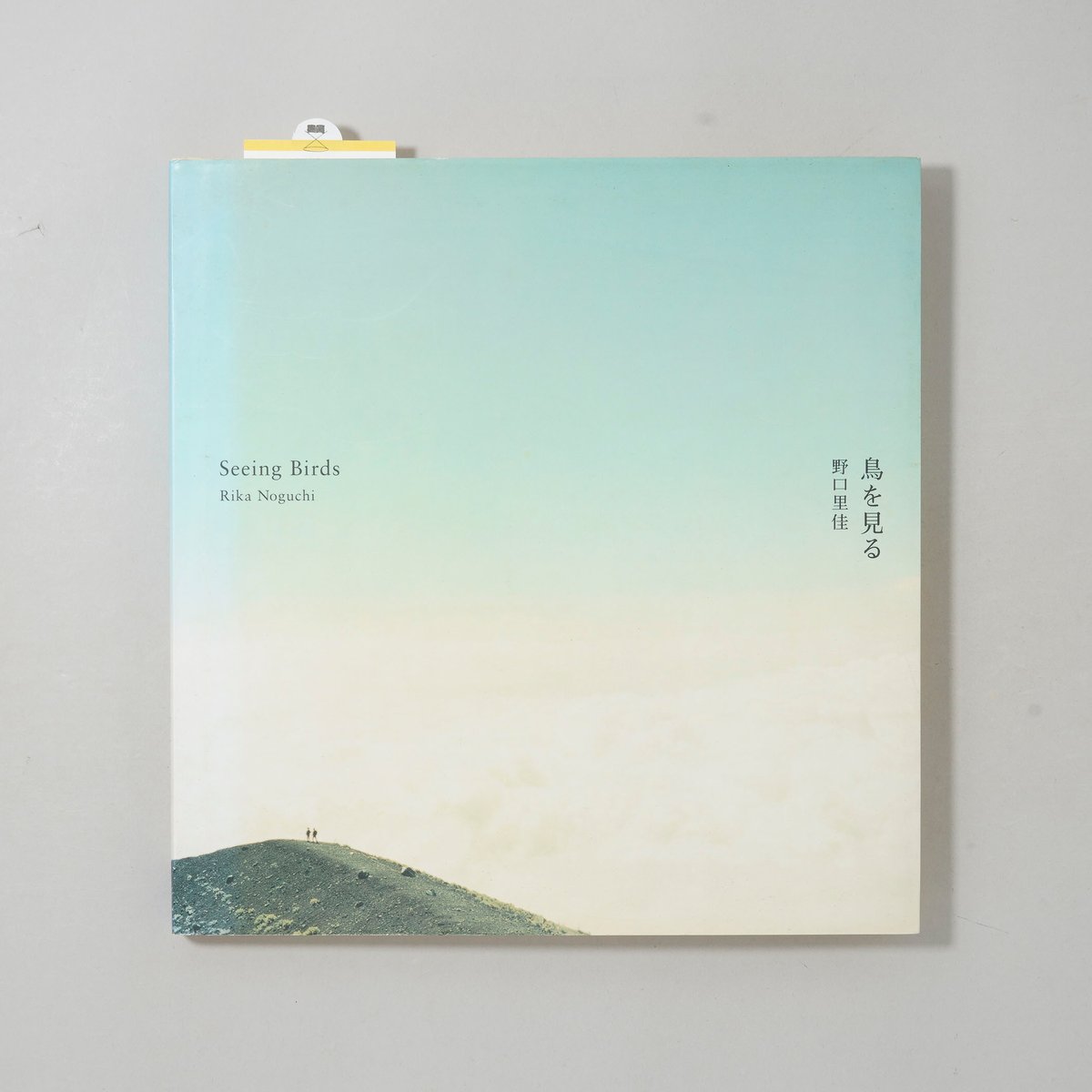 鳥を見る : 野口里佳　写真集 鳥を見る / 野口里佳(Rika Noguchi) | bookobscura｜写真集専門書店