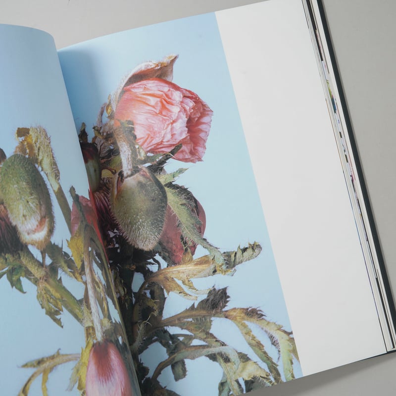 花人生 特別装丁版 / 荒木経惟(Nobuyoshi Araki) | bookobscura