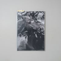 [新刊/New]Unspoken Ties / Shannon Cavarocchi(シャノン・カヴァロッキ)