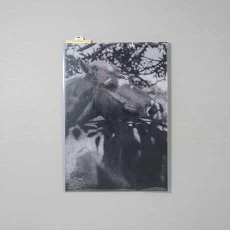 [新刊/New]Unspoken Ties / Shannon Cavarocchi(シャノン・カヴァロッキ)