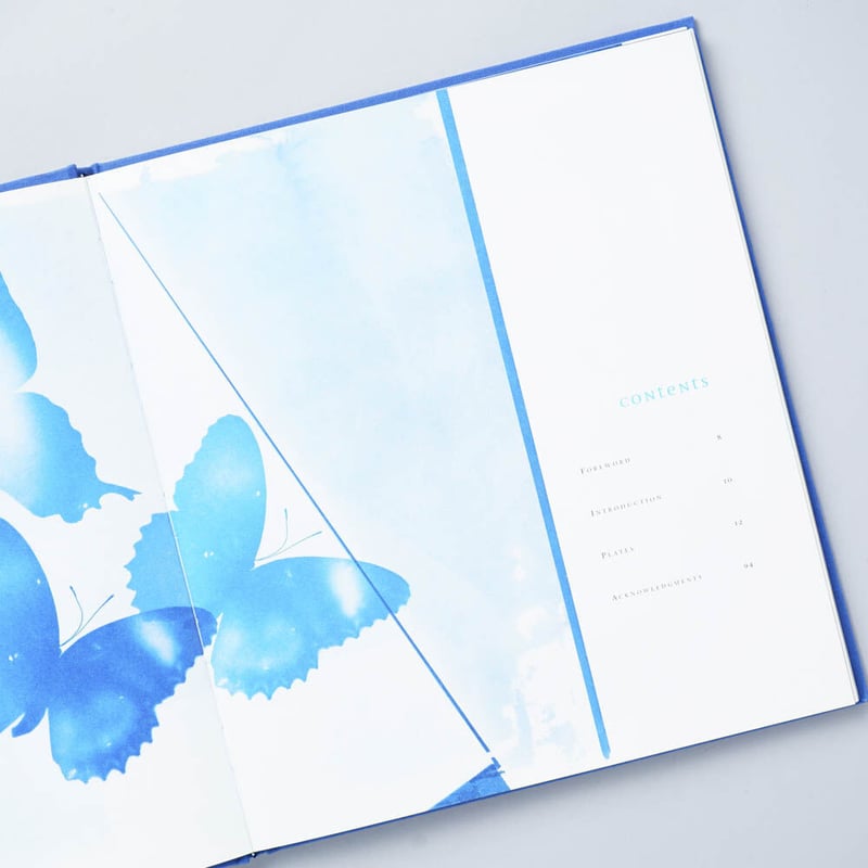 BLUE PRINTS / Zeva Oelbaum (セヴァ・オエルバム) | bookob