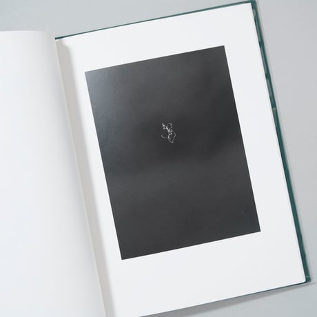 CHICXULUB / Mårten Lange(モルテン・ランゲ)