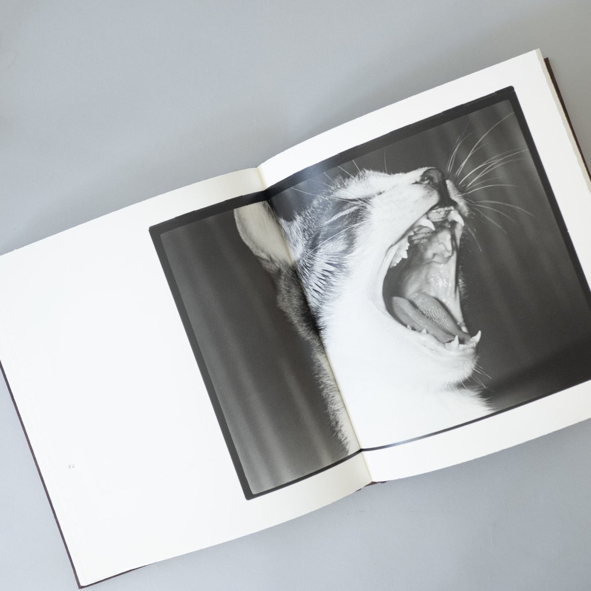 Afterword / 深瀬昌久(Masahisa Fukase) | book obscur...