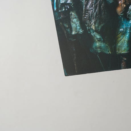 [サイン入/Signed] 特装版 Tannery / 吉田亮人(Akihito Yoshida)