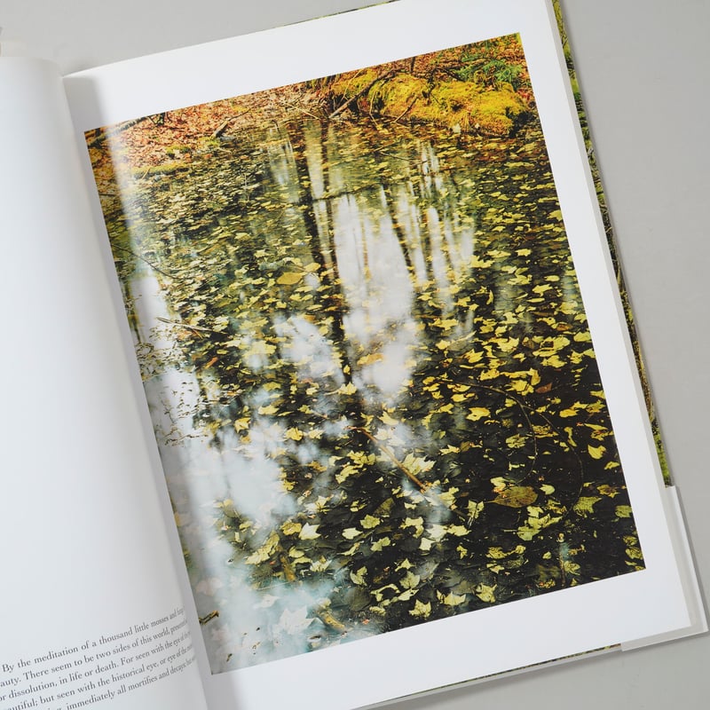 In Wildness Is the Preservation / Eliot Porter(