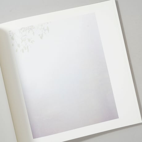 LOUIS VUITTON FOREST / 瀧本幹也(Mikiya Takimoto)