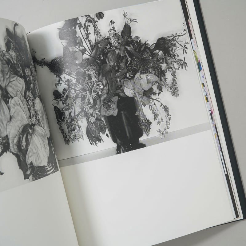花人生 特別装丁版 / 荒木経惟(Nobuyoshi Araki) | bookobscura