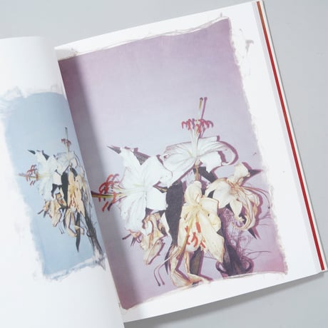 [新刊/New] Swaying Flowers / Ayaka Endo(遠藤文香)