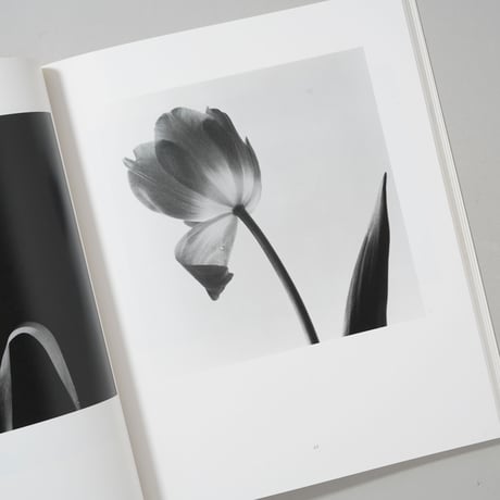 HANA / 石元泰博(Yasuhiro Ishimoto)