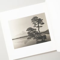 [サイン入/Signed] 手中一滴 Bonsai Microcosmos Macrocosmos / 山本昌男(Masao Yamamoto)