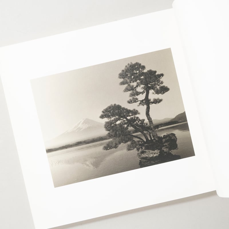 サイン入/Signed] 手中一滴 Bonsai Microcosmos Macrocosm