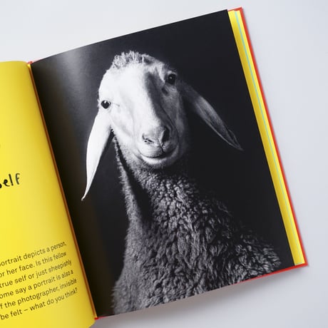 [新刊/New] ABC photography / Martin Parr, Wolfgang Tillmans, Nan Goldin, Alec Soth, Peter Lindbergh, 他