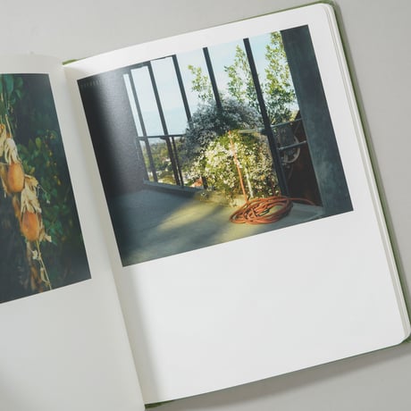 [新刊/New] Sunshine Terrace / Emily Shur(エミリー・シューア)