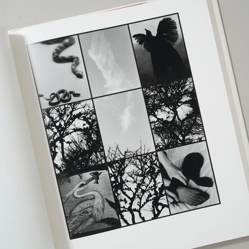 【Cycles ：Judy Dater】サイクルズ/ジュディ・データー　★美本 Cycles サイクルズ / Judy Dater(ジュディ・データー) | bookobsc