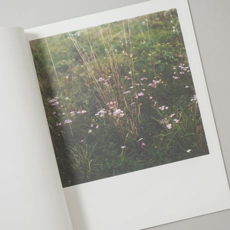 [サイン入/Signed] WIESE XXI-XLVIII / Anne Schwalbe(アンネ・シュヴァルべ)