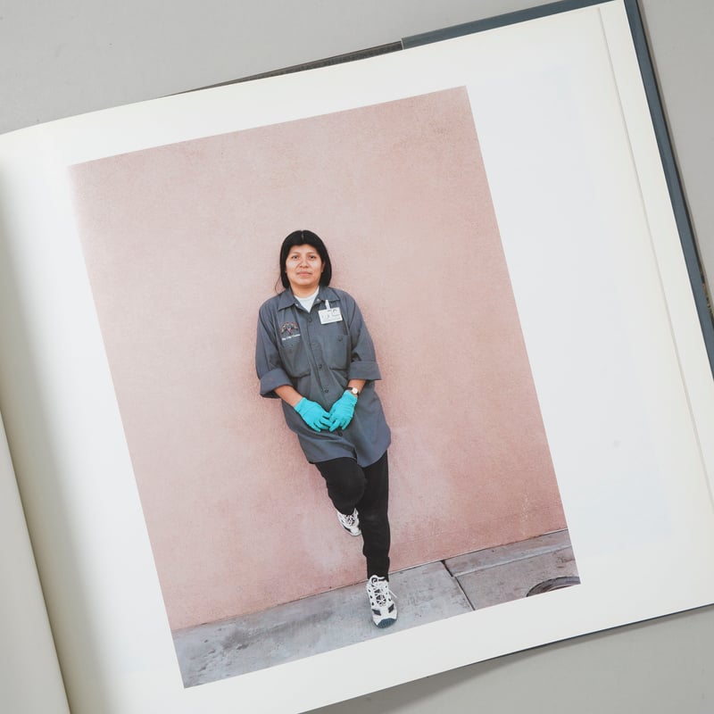 Stranger Passing / Joel Sternfeld(ジョエル・スタンフェルド)