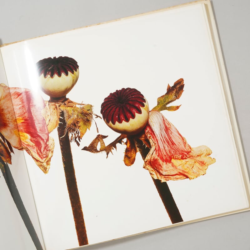 FLOWERS / Irving Penn (アーヴィング・ペン) | bookobscura