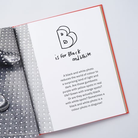 [新刊/New] ABC photography / Martin Parr, Wolfgang Tillmans, Nan Goldin, Alec Soth, Peter Lindbergh, 他