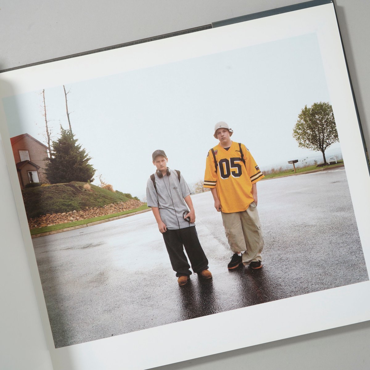 Stranger Passing / Joel Sternfeld(ジョエル・スタンフェルド)
