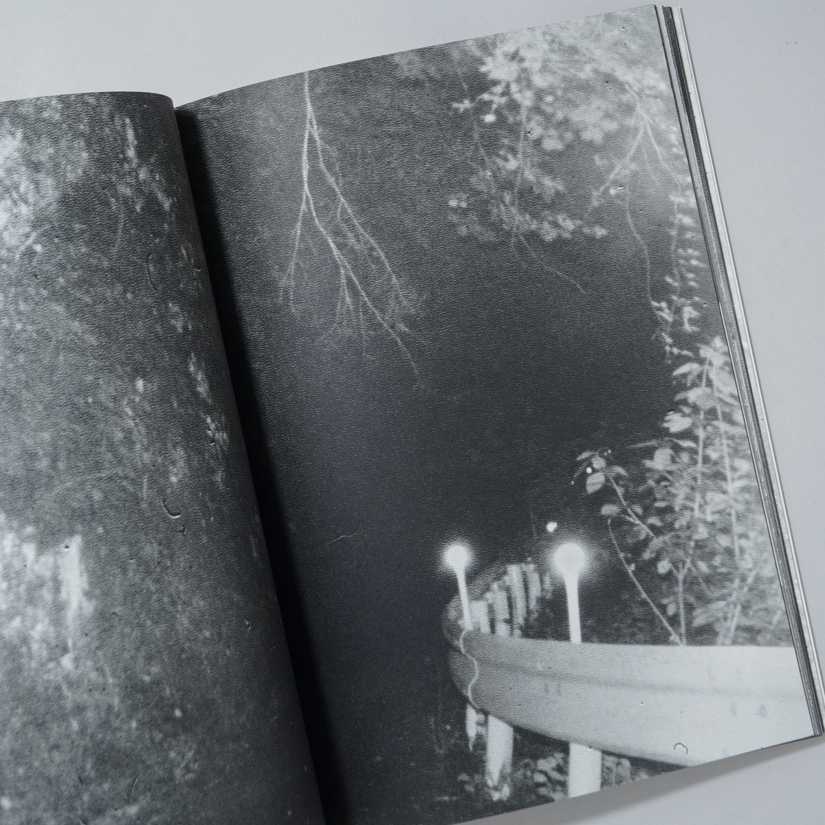 サイン入/Signed]VERTIGO / 横田大輔(Daisuke Yokota) | b...