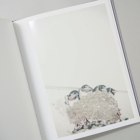 [サイン入/Signed] Des oiseaux (On birds) / 川内倫子(Rinko Kawauchi)