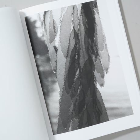 [新刊/New] NATURAL SOURCES / Jochen Lempert(ヨヘン・レンペルト)