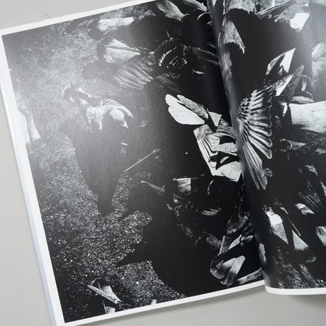 森山大道写真集成 4 光と影 / 森山大道(Daido Moriyama)