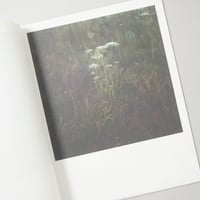 [サイン入/Signed] WIESE XXI-XLVIII / Anne Schwalbe(アンネ・シュヴァルべ)
