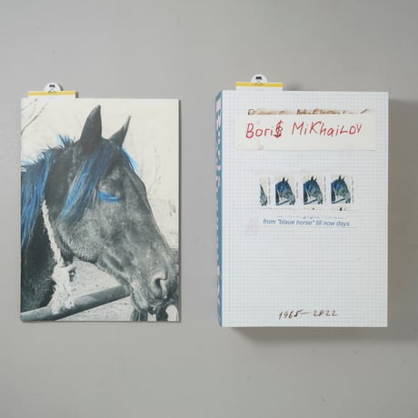 from "blaue horse" till now days / Boris Mikhailov(ボリス・ミハイロフ)