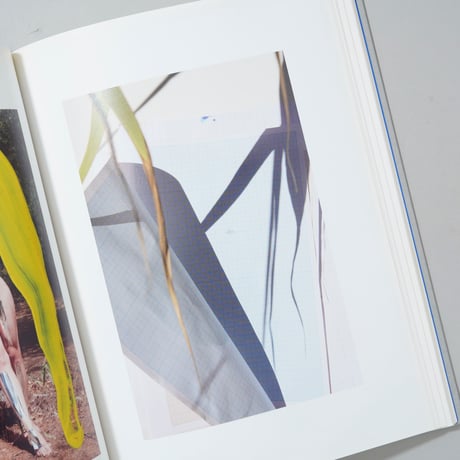 ROXANE Ⅱ / Viviane Sassen(ヴィヴィアン・サッセン)