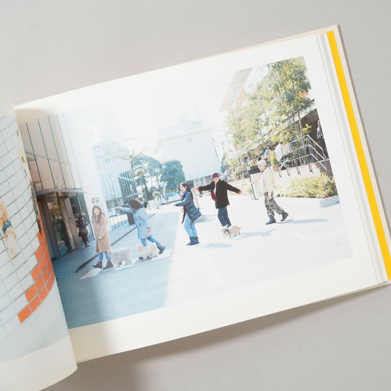 ONE DAY LIFE WITH A DOG / 濱田英明(Hideaki Hamada)