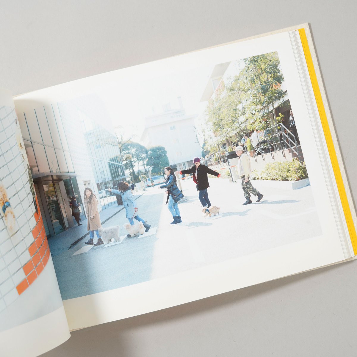 ONE DAY LIFE WITH A DOG / 濱田英明(Hideaki Hamada)
