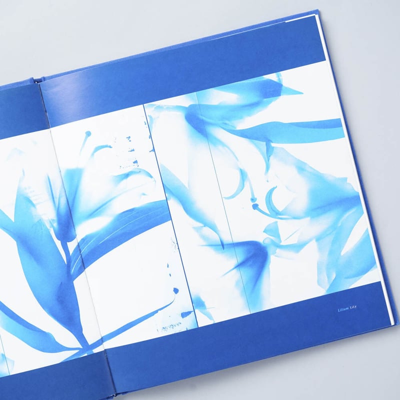 洋書 Blue Prints Zeva Oelbaum BLUE PRINTS / Zeva Oelbaum (セヴァ・オエルバム) | bookob