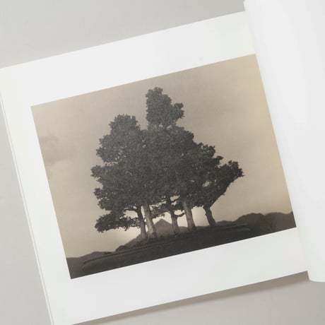 [サイン入/Signed] 手中一滴 Bonsai Microcosmos Macrocosmos / 山本昌男(Masao Yamamoto)