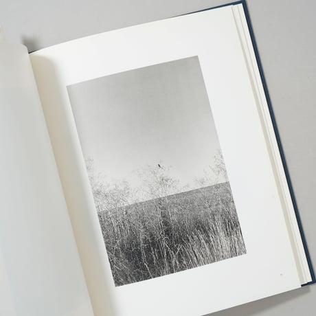Des oiseaux / Bernard Plossu(ベルナール・プロス)