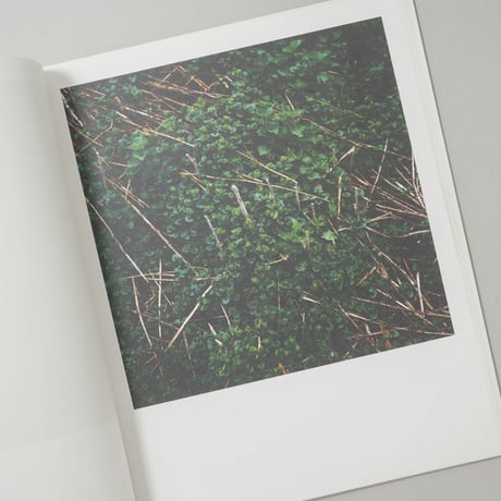 [サイン入/Signed] WIESE XXI-XLVIII / Anne Schwalbe(アンネ・シュヴァルべ)