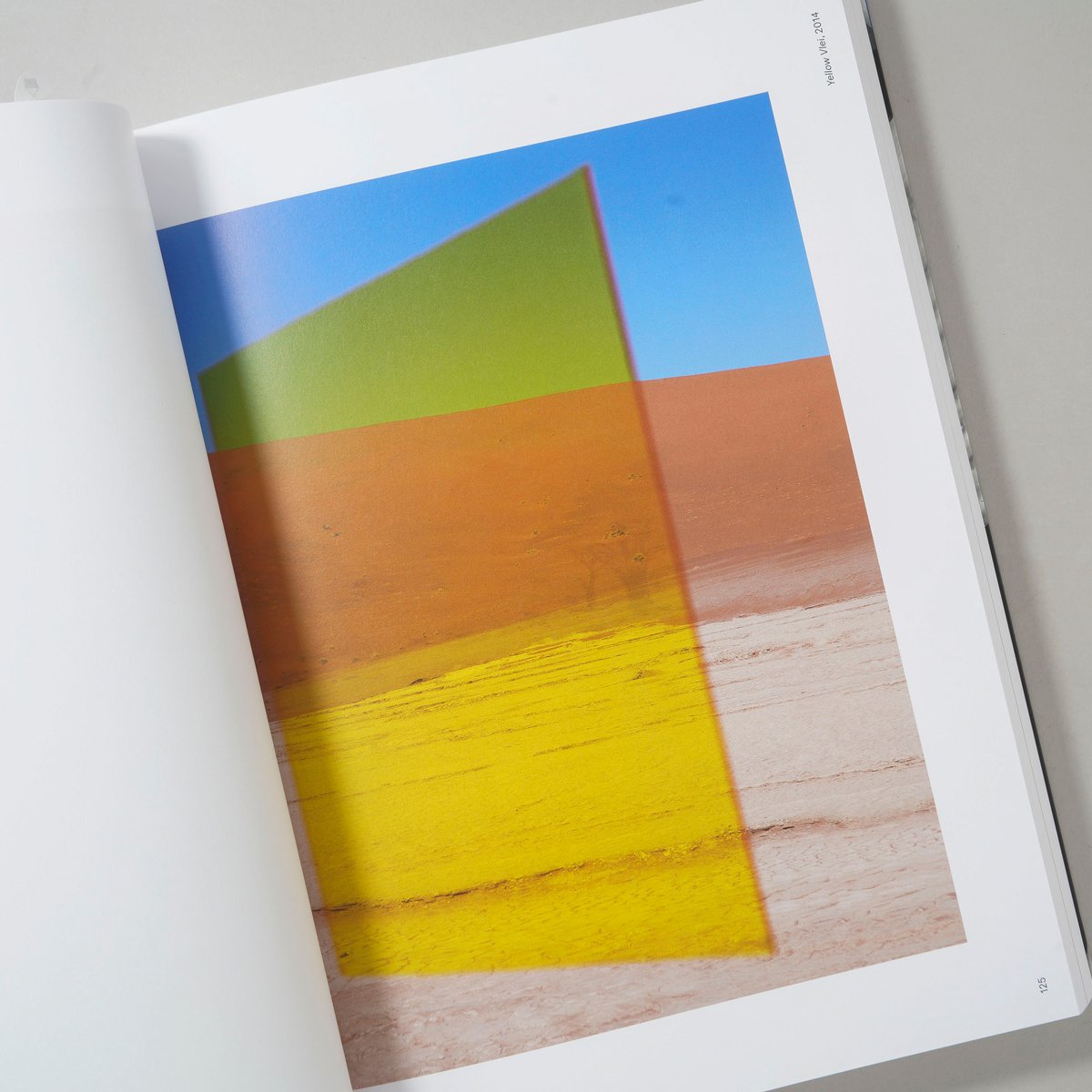 PHOSPHOR / Viviane Sassen(ヴィヴィアン・サッセン) | bookob