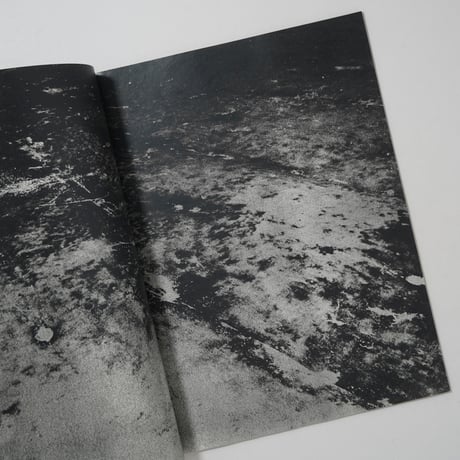 back yard / 横田大輔(Daisuke Yokota)