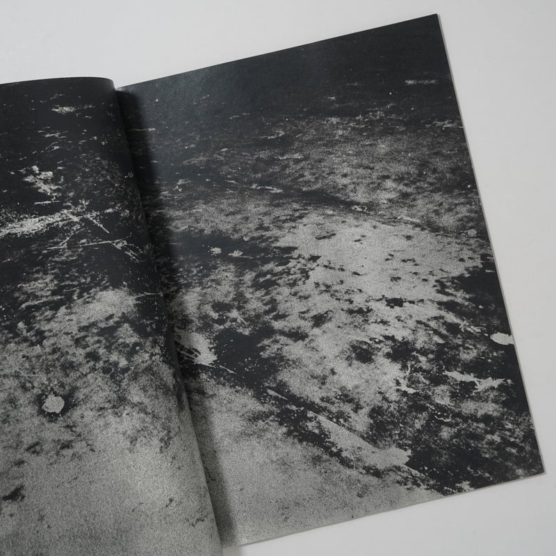 back yard / 横田大輔(Daisuke Yokota) | bookobscura｜