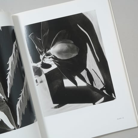 Imogen Cunningham Flora / Imogen Cunningham(イモージン・カニンガム)