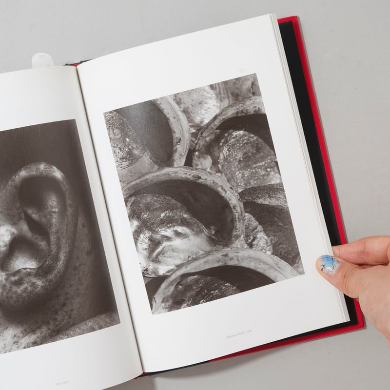 イモジン・カニンハム写真集 : モダニストの時代 IMOGEN CUNNINGHAM THE MODERNIST YEARS イモジン・カニンハ