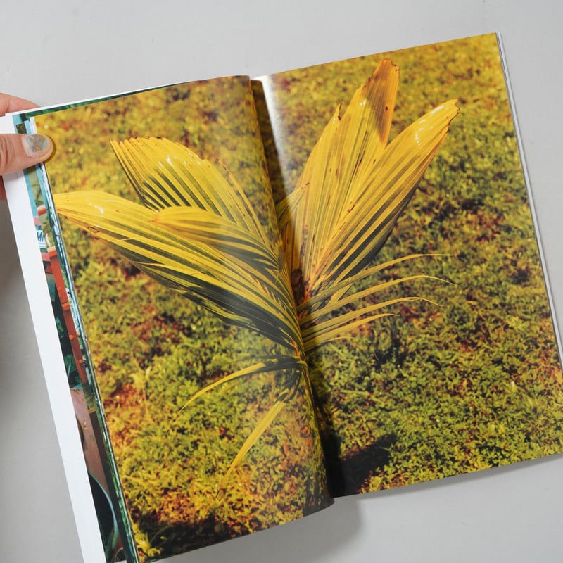 新刊サイン入/New,Signed] Strong memory / 佐内正史 | book