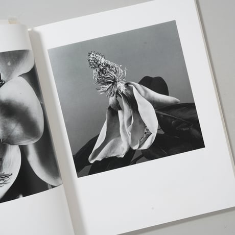 HANA / 石元泰博(Yasuhiro Ishimoto)