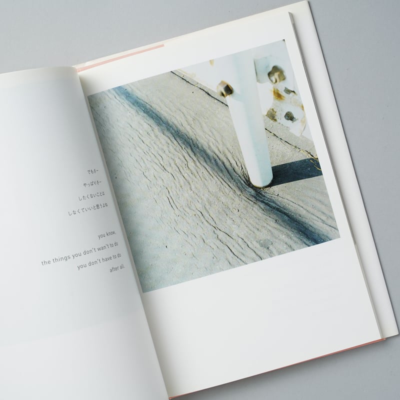 The eyes, the ears, / 川内倫子(Rinko Kawauchi) | bo...